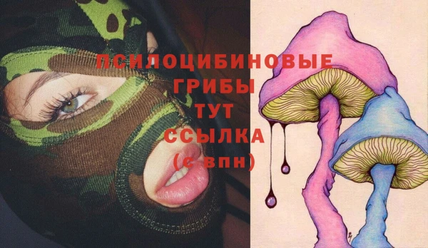 мескалин Михайлов