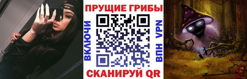 сколько стоит  Самара  гидра ТОР  Галлюциногенные грибы ЛСД 